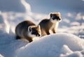 AI generated illustration of adorable weasels frolicking and playing on a pristine snow bank