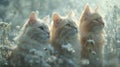 AI generated illustration of adorable white cats posing in a picturesque flower field