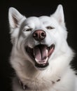AI generated illustration of a cute, yawning white dog portrait