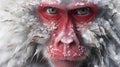AI generated illustration of an adorable white and red-furred monkey standing in a wintry landscape Royalty Free Stock Photo