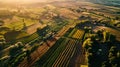 AI generated illustration of an aerial view of a lush, green agricultural area in the countryside Royalty Free Stock Photo