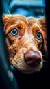 AI generated illustration of an affectionate brown-colored canine peering out the window of a car