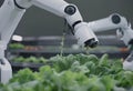 AI generated illustration of an agricultural robot arm harvesting herbs on a farm