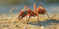 AI generated illustration of an ant crawling on a patch of rocky and dirt-covered terrain