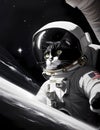 AI generated illustration of an astronaut cat wears a space suit floating in space Royalty Free Stock Photo