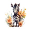 AI generated illustration of a baby zebra on a white background in watercolor Royalty Free Stock Photo