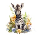 AI generated illustration of a baby zebra on a white background in watercolor Royalty Free Stock Photo