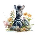 AI generated illustration of a baby zebra on a white background in watercolor Royalty Free Stock Photo