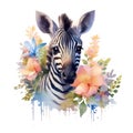 AI generated illustration of a baby zebra on a white background in watercolor Royalty Free Stock Photo