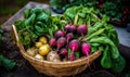 AI generated illustration of a basket filled with freshly harvested radishes in a lush green lawn