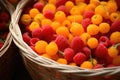 AI-generated illustration of a basket of freshly picked red and yellow raspberries