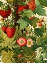 AI generated illustration of a basket of strawberries and plants in the foreground