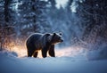 a bear walking through the woods with snowy ground below it