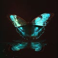 Aquamarine Dream Butterfly Royalty Free Stock Photo