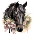 AI generated illustration of a black horse on a white background in watercolor Royalty Free Stock Photo