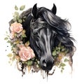 AI generated illustration of a black horse on a white background in watercolor Royalty Free Stock Photo