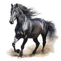 AI generated illustration of a black horse on a white background in watercolor Royalty Free Stock Photo