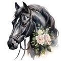 AI generated illustration of a black horse on a white background in watercolor Royalty Free Stock Photo