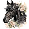 AI generated illustration of a black horse on a white background in watercolor Royalty Free Stock Photo