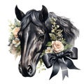 AI generated illustration of a black horse on a white background in watercolor Royalty Free Stock Photo