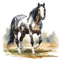 AI generated illustration of a black and white horse on a white background in watercolor Royalty Free Stock Photo