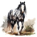 AI generated illustration of a black and white horse on a white background in watercolor Royalty Free Stock Photo