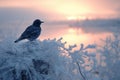 AI generated illustration of a blackbird perched on snowy shrubs