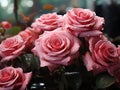 AI generated illustration of a bouquet of pink roses arranged in a symmetrical display