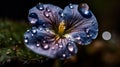 AI generated illustration of a bright purple pansy flower covered in rain droplets Royalty Free Stock Photo