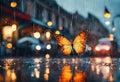 a butterfly sitting on the ground with its wings open while rain falls Royalty Free Stock Photo
