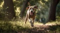 AI generated illustration of a brown domestic dog running in the forest