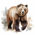 AI generated illustration of a brown grizzly bear clipart on a white background