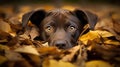 AI generated illustration of a brown puppy in a pile of autumn leaves