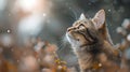 AI generated illustration of a brown tabby cat looking up at the sky Royalty Free Stock Photo