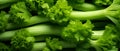 AI-generated illustration of a bundle of fresh green celery stalks stacked neatly together Royalty Free Stock Photo