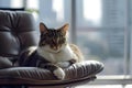 AI generated illustration of A cat curled up on a cushioned armchair in front of a window