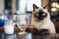 AI generated illustration of A cat perches beside a glass of milk on a table Royalty Free Stock Photo