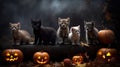 AI generated illustration of cats near hollowing pumpkins