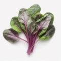 AI-generated illustration of a chard bunch on a white background Royalty Free Stock Photo