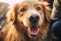 AI generated illustration of a cheerful golden retriever dog Royalty Free Stock Photo