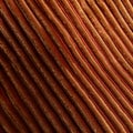 AI generated illustration of a close-up of a brown velvet material featuring curved ridges