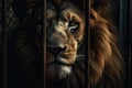 AI generated illustration of a close-up of a lion peering through the fence, looking into the camera