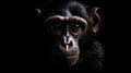 AI generated illustration of a close-up portrait of a black monkey against a dark background Royalty Free Stock Photo