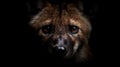 AI generated illustration of a close-up portrait of a hyena against a dark background