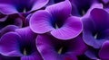 AI generated illustration of a close-up of a row of tightly packed purple flowers