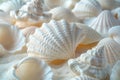 AI generated illustration of a close-up of shells clustered on a sandy beach with the ocean Royalty Free Stock Photo