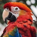 AI generated illustration of a close-up of a vibrant scarlet macaw