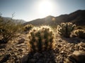 AI generated illustration of a close-up view of a cactus plant in the desert, illuminated by the sun