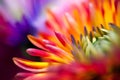 AI generated illustration of a closeup of vibrant colorful flowers