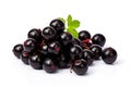 AI-generated illustration of a cluster of fresh blackcurrants isolated on a white background Royalty Free Stock Photo